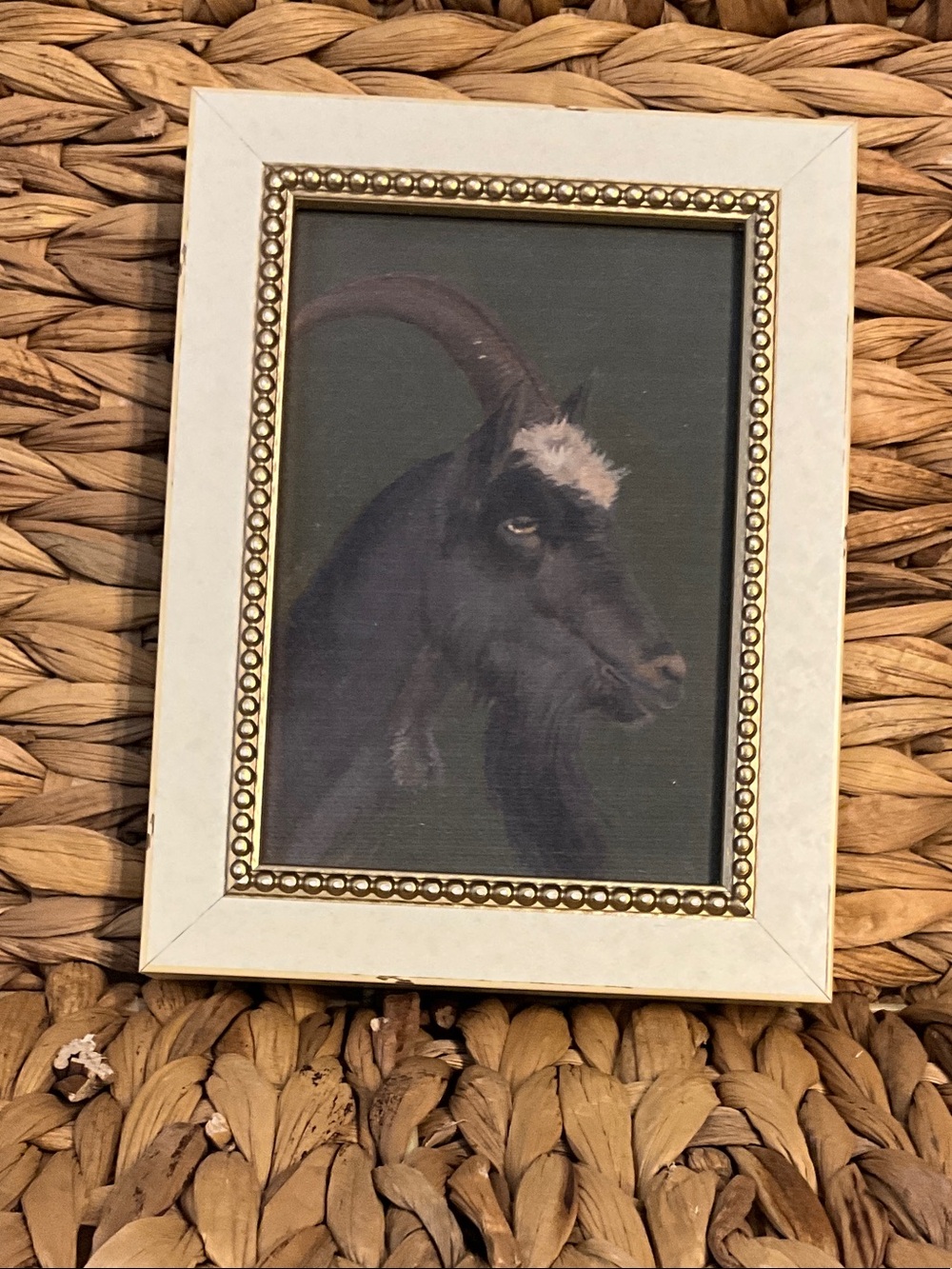 Framed Goat Portrait in Cream and Gold Frame